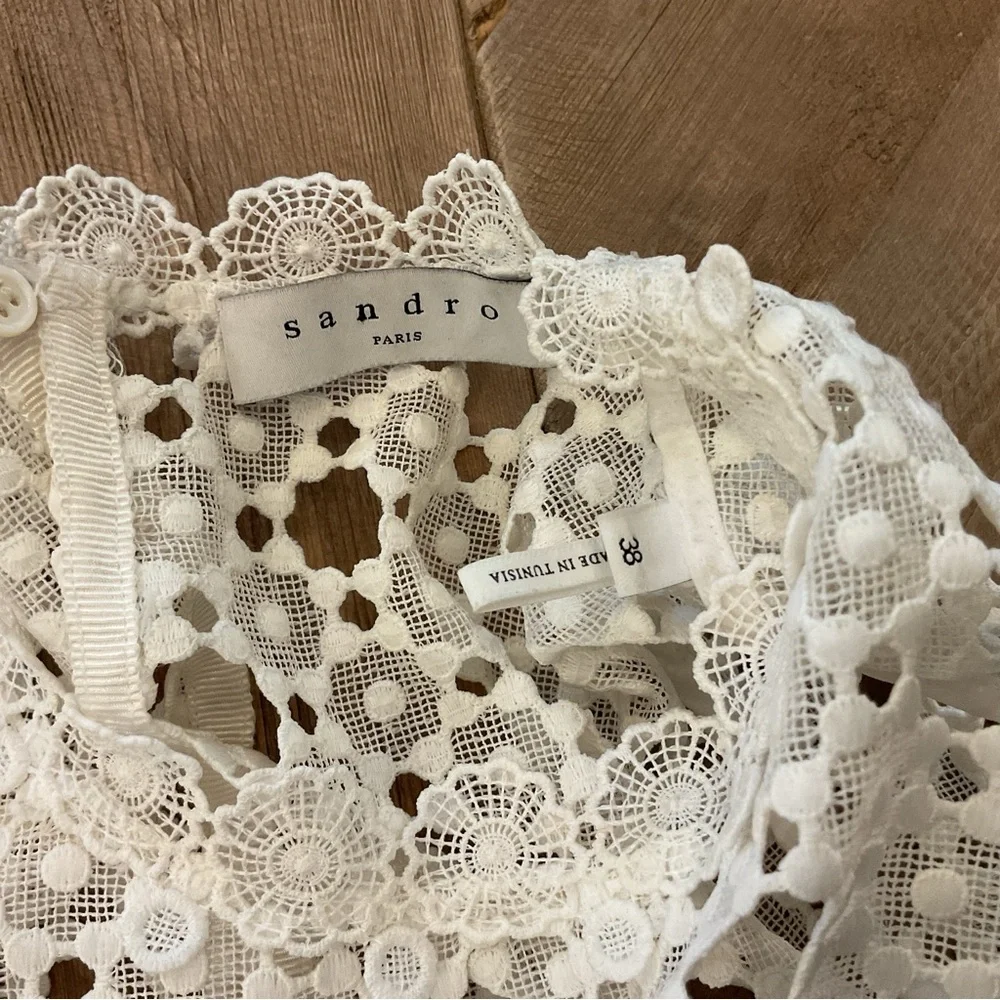 Sandro Paris Gab Lace Dress (US Size‎ 6) - Picture 7 of 12